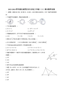 2023-2024学年湖北省武汉市江岸区八年级（上）期末数学试卷-（含解析）