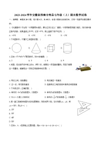 2023-2024学年安徽省淮南市寿县七年级（上）期末数学试卷（含解析）