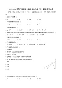 2023-2024学年广西贵港市桂平市八年级（上）期末数学试卷-普通用卷