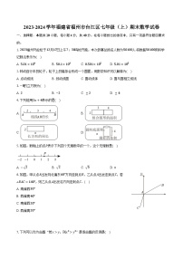 2023-2024学年福建省福州市台江区七年级（上）期末数学试卷（含解析）