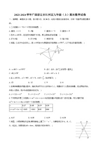 2023-2024学年广西崇左市江州区九年级（上）期末数学试卷（含解析）