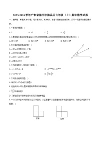 2023-2024学年广东省梅州市梅县区七年级（上）期末数学试卷