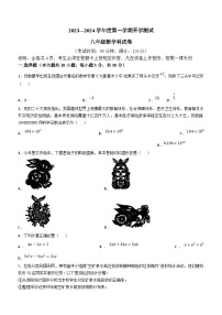 广东省湛江市重点中学2023-2024学年八年级上学期开学考试数学试题(无答案)