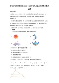 浙江省台州市黄岩区2023-2024学年九年级（上）学期期末数学试卷（含解析）