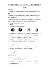 浙江省绍兴市新昌县2023-2024学年八年级（上）学期期末数学试卷（含解析）
