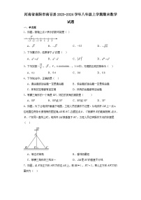 河南省南阳市南召县2023-2024学年八年级（上）学期期末数学试卷（含解析）