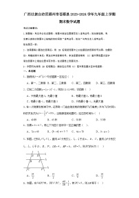 广西壮族自治区梧州市苍梧县2023-2024学年九年级（上）学期期末数学试卷（含解析）