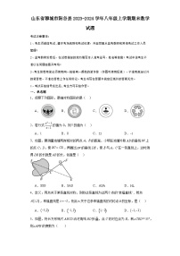 山东省聊城市阳谷县2023-2024学年八年级（上）学期期末数学试卷（含解析）