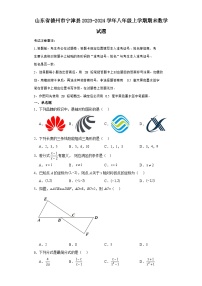 山东省德州市宁津县2023-2024学年八年级（上）学期期末数学试卷（含解析）