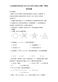 山东省临沂市河东区2023-2024学年九年级（上）学期1月期末数学试卷（含解析）