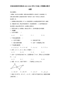 河南省洛阳市宜阳县2023-2024学年八年级（上）学期期末数学试卷（含解析）