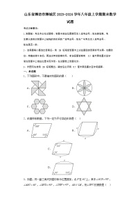 山东省潍坊市潍城区2023-2024学年八年级（上）学期期末数学试卷（含解析）