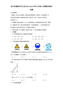 四川省德阳市中江县2023-2024学年八年级（上）学期期末数学试卷（含解析）