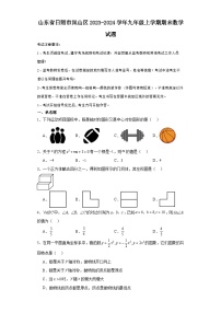 山东省日照市岚山区2023-2024学年九年级（上）学期期末数学试卷（含解析）