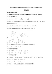 山东省临沂市郯城县2023-2024学年七年级上册期末数学模拟试题（附答案）