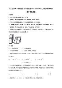 山东省威海市威海经济技术开发区2023-2024学年九年级上册期末数学模拟试题（附答案）