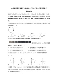 山东省淄博市临淄区2023-2024学年九年级上册期末数学模拟试题（附答案）