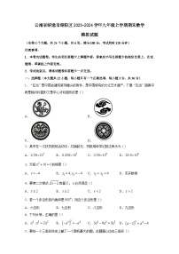 云南省昭通市昭阳区2023-2024学年九年级上册期末数学模拟试题（附答案）