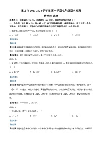 海南省省直辖县级行政单位东方市2023-2024学年七年级上学期期末数学试题