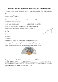 浙江省金华市永康市2023-2024学年九年级上学期期末数学试卷