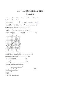 河南省平顶山市郏县2023-2024学年九年级上学期期中学情检测数学试题