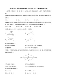 2023-2024学年河南省南阳市七年级（上）期末数学试卷（含解析）