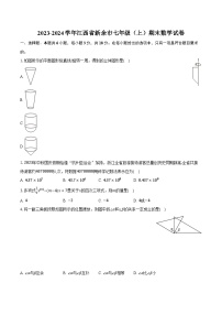 2023-2024学年江西省新余市七年级（上）期末数学试卷（含解析）