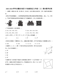 2023-2024学年安徽省合肥六中高新校区九年级（上）期末数学试卷（含解析）