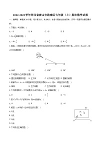 2022-2023学年河北省唐山市路南区七年级（上）期末数学试卷（含解析）