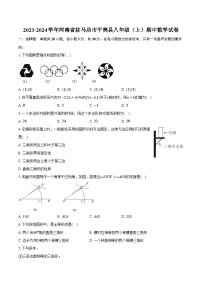 2023-2024学年河南省驻马店市平舆县八年级（上）期中数学试卷（含解析）