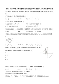 2023-2024学年上海市静安区田家炳中学八年级（上）期末数学试卷(含解析）