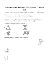 2023-2024学年云南省楚雄州楚雄市天人中学九年级（上）期末数学试卷(含解析）