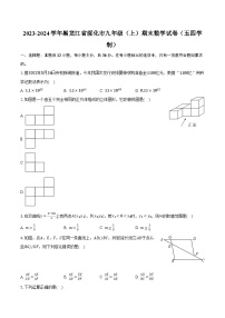 2023-2024学年黑龙江省绥化市九年级（上）期末数学试卷（五四学制）(含解析）