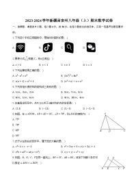 2023-2024学年新疆昌吉州八年级（上）期末数学试卷(含解析）