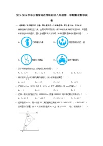 2023-2024学年云南省昭通市昭阳区八年级（上）期末数学试卷（含解析）