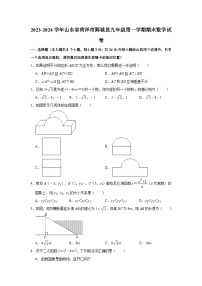 2023-2024学年山东省菏泽市鄄城县九年级（上）期末数学试卷（含解析）