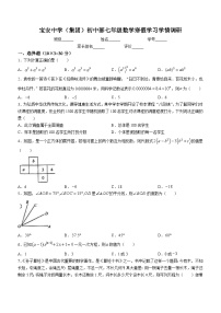 广东省深圳市宝安中学（集团）初中部2023-2024学年七年级下学期开学考数学试题()