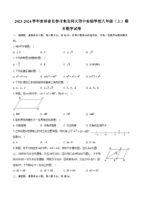 吉林省长春市东北师大附中实验学校2023-2024学年八年级上学期期末数学试卷