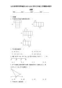 山东省菏泽市郓城县2023-2024学年七年级上学期期末数学试题(含答案)