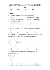 山东省临沂市平邑县2023-2024学年九年级上学期期末数学试题(含答案)