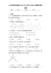 山东省泰安市新泰市2023-2024学年七年级上学期期末数学试题(含答案)