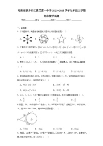 河南省新乡市红旗区第一中学2023-2024学年九年级上学期期末数学试题