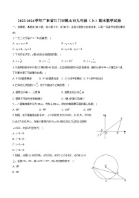 2023-2024学年广东省江门市鹤山市九年级（上）期末数学试卷（含解析）