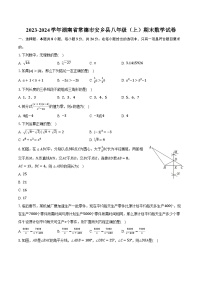 2023-2024学年湖南省常德市安乡县八年级（上）期末数学试卷（含解析）