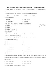 2023-2024学年吉林省吉林市永吉县七年级（上）期末数学试卷（含解析）