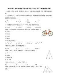 2023-2024学年湖南省长沙市长沙县八年级（上）期末数学试卷（含解析）