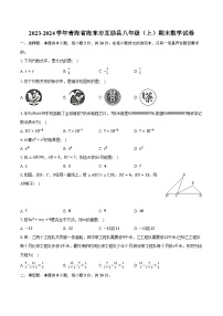 2023-2024学年青海省海东市互助县八年级（上）期末数学试卷（含解析）