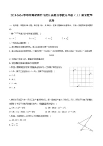 2023-2024学年河南省周口市沈丘县部分学校九年级（上）期末数学试卷（含解析）