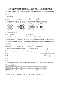 2023-2024学年湖南省株洲市天元区九年级（上）期末数学试卷（含解析）