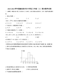 2023-2024学年福建省泉州市丰泽区八年级（上）期末数学试卷（含解析）